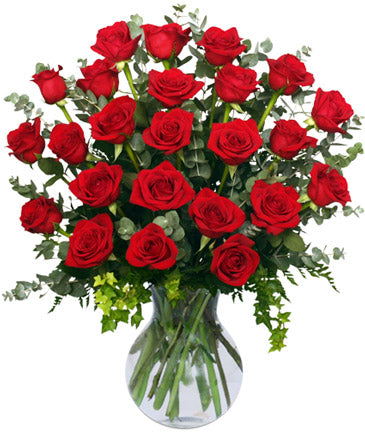 24 Radiant Roses (Red Roses Arrangement)