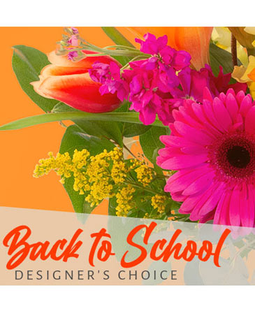 Back to School Beauty (Designer's Choice)