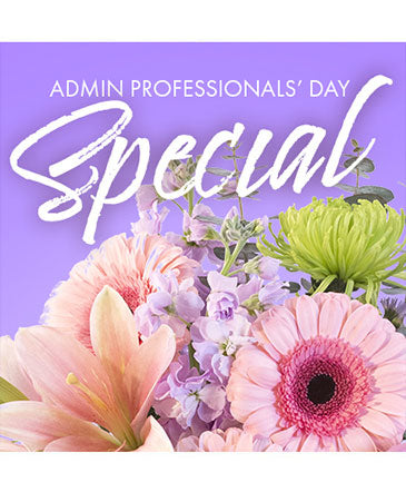 Beautiful Admin Special (Designer's Choice)