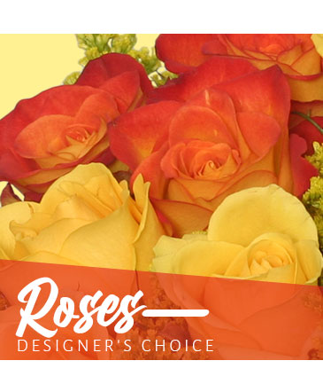 Beautiful Roses (Designer's Choice)