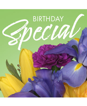 Birthday Special (Designer's Choice)