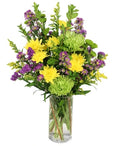 Cheerful Jubilee