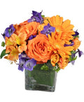 Enthusiasm Blossoms