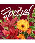 Fall Special (Designer's Choice)