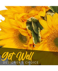 Get Well Bouquet (Designer's Choice)