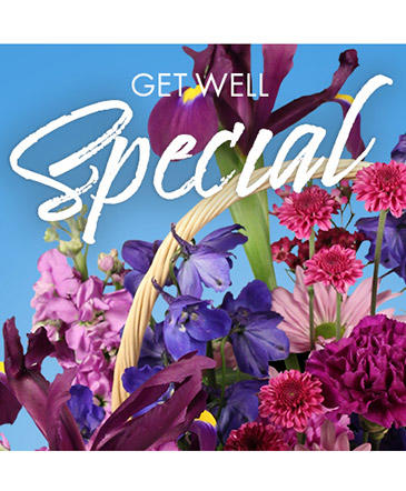 Get Well Special Florals (Designer's Choice)