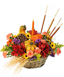 Gourd-eous Blooms