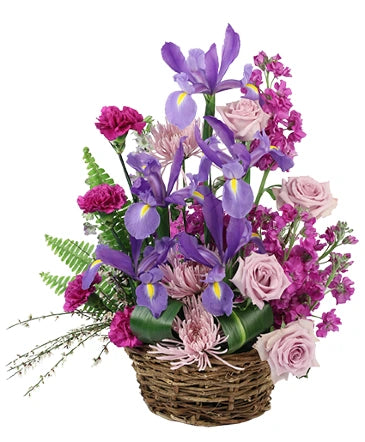 Iris Affection (Basket Arrangement)