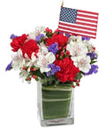 Made in the USA