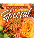 Modern Tropical Special (Designer's Choice)