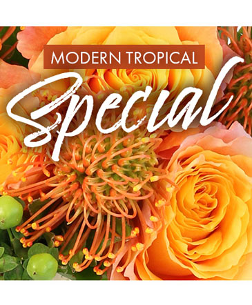 Modern Tropical Special (Designer's Choice)