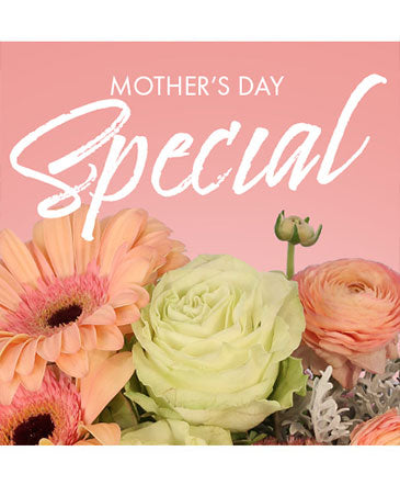 Mother's Day Special (Designer's Choice)