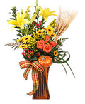 October Offerings