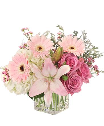 Quiet Dawn (Bouquet)