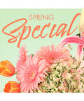 Special of Spring Florals (Designer's Choice)