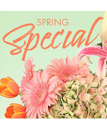 Special of Spring Florals (Designer's Choice)
