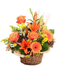 Spirited Citrus (Basket Arrangement)