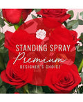 Standing Spray