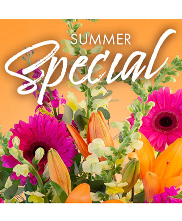 Summer Special (Weekly Deal)