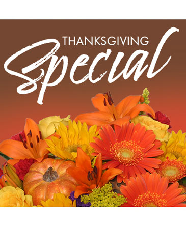 Thanksgiving Special (Designer's Choice)