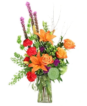 Vibrant and Vivacious