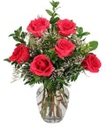 Vibrant Fuchsia Roses