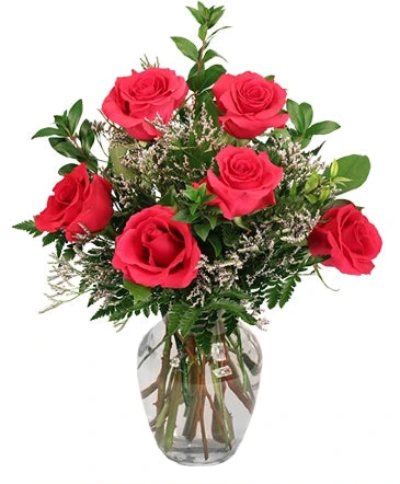 Vibrant Fuchsia Roses