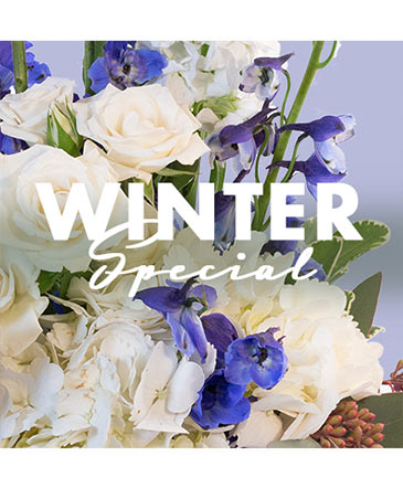 Winter Special (Designer's Choice)